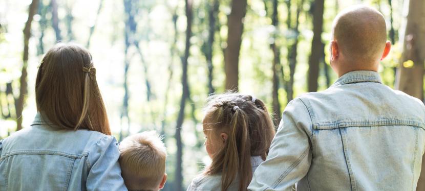Om Stamningsförbundet